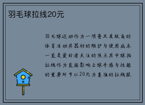 羽毛球拉线20元